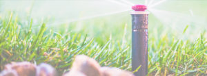 Irrigation Systems In Tulsa