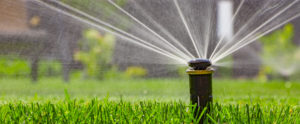 Automatic Sprinkler System Watering The Lawn On A Background Of Green Grass