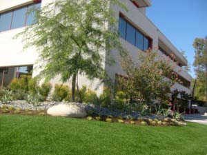 Commercial Landscaping With Artificial Grass