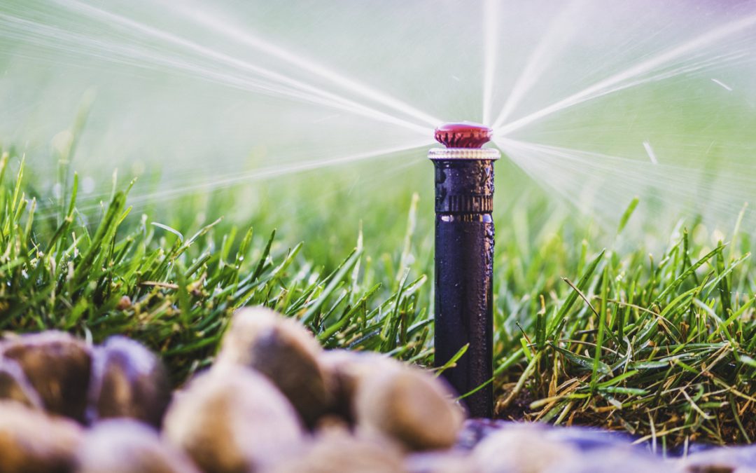 Sprinkler Repair Edmond | We Offer You Amazing Results